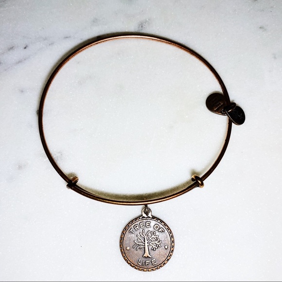 Alex and Ani “Tree of Life” Charm Bracelet - Picture 2 of 3